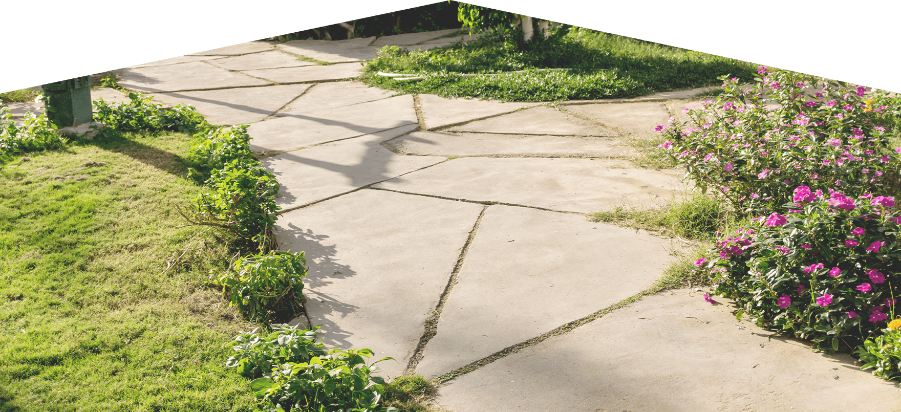 有限会社アスケットMV画像